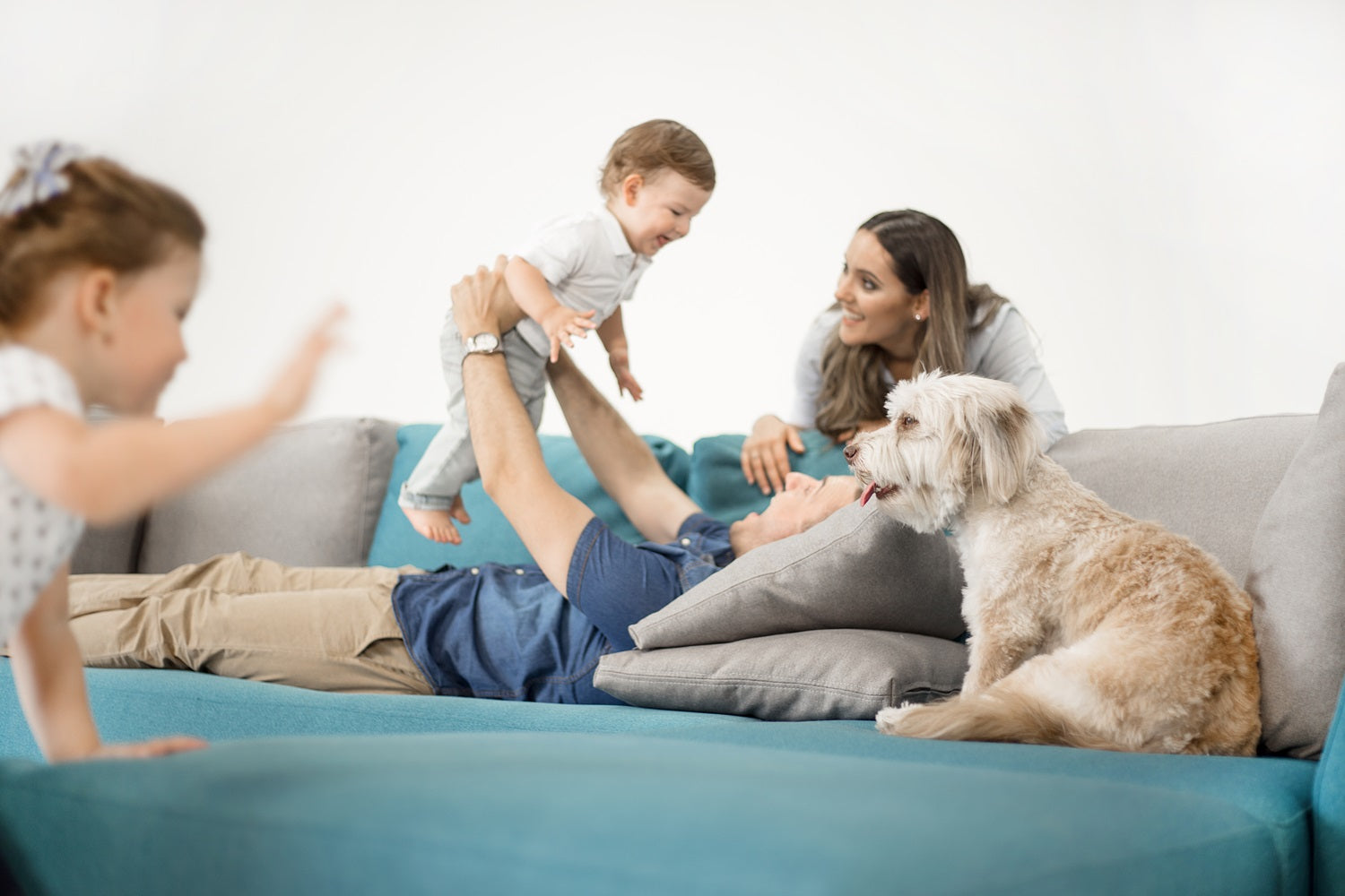 Katzenurinflecken im Sofa? So bekommst Du sie schnell und einfach raus!