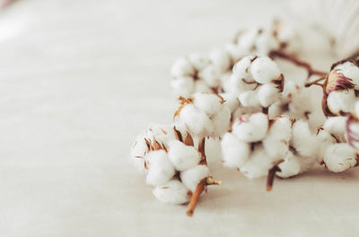 Sofás con funda de algodón: cuidados, ventajas y consejos