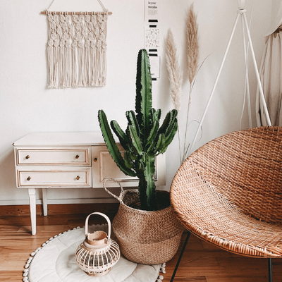 El estilo boho: ¿cómo configuré una sala de estar boho?